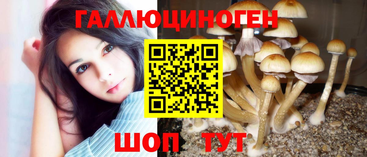 Галлюциногенные грибы Cubensis  Вход с VPN  Галлюциногенные грибы GOLDEN TEACHER  Новокубанск 