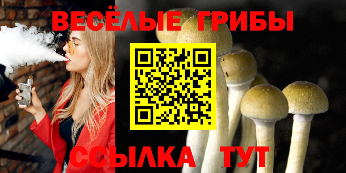 Галлюциногенные грибы GOLDEN TEACHER Новокубанск